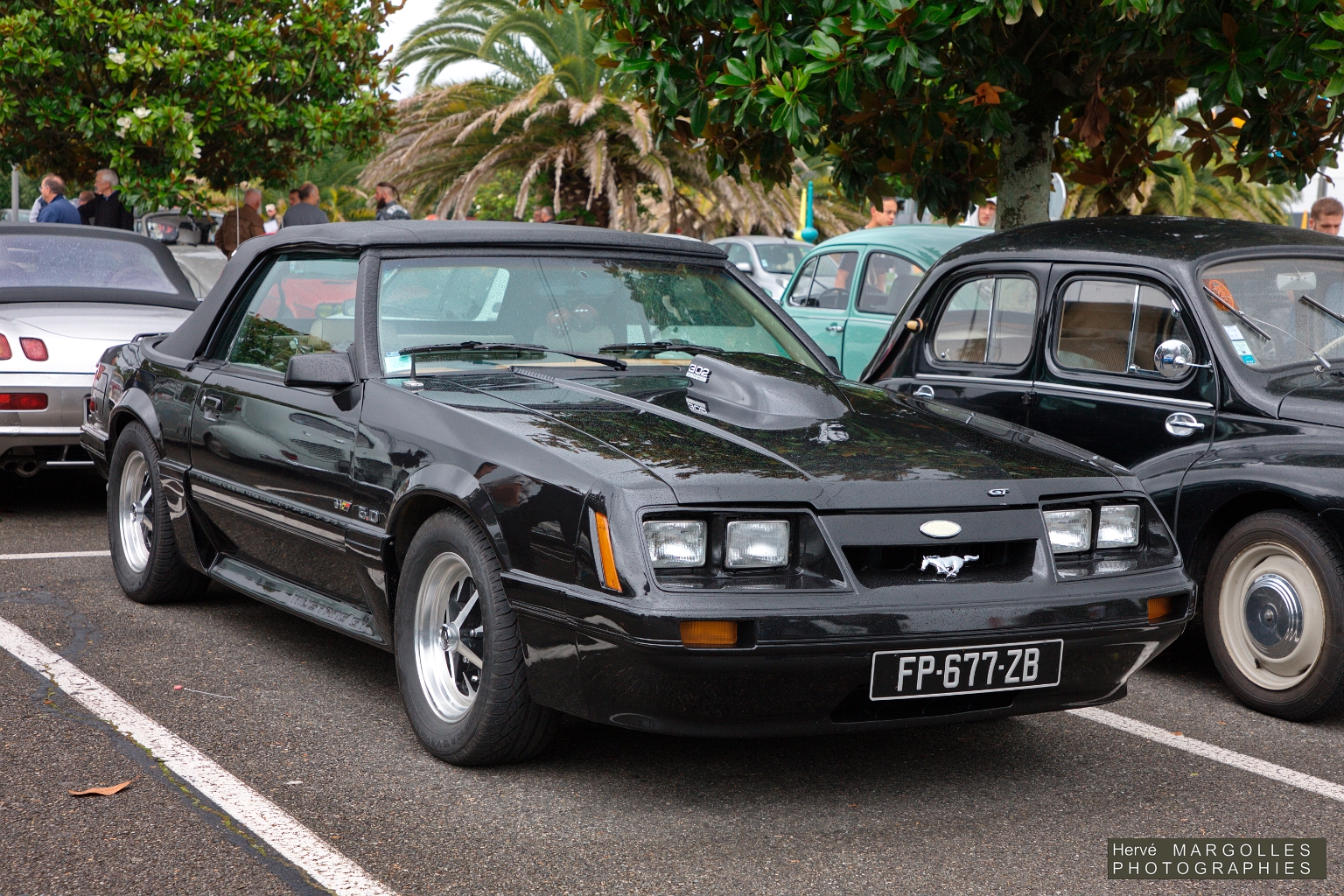Ford Mustang_01.jpg